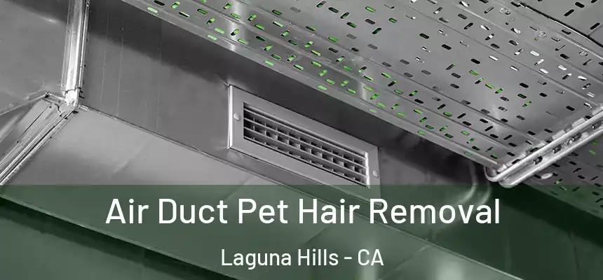  Air Duct Pet Hair Removal Laguna Hills - CA