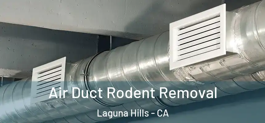 Air Duct Rodent Removal Laguna Hills - CA