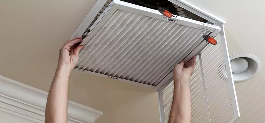 Preventive Cockroach-Proofing for Ducts in Laguna Hills