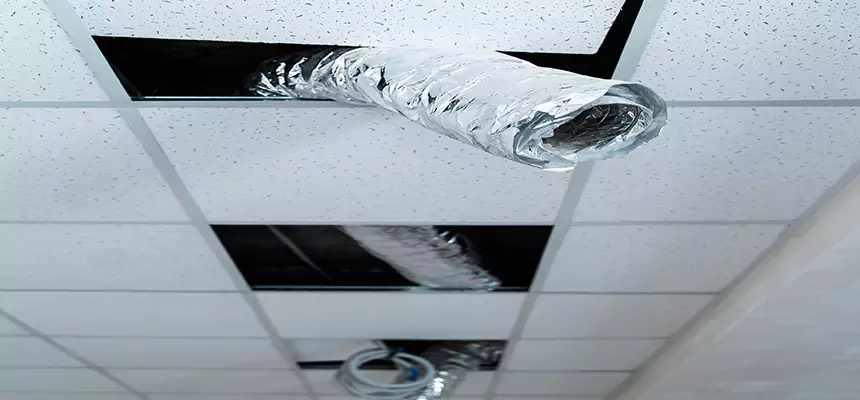 Our Air Duct Pet Hair Removal Services in Laguna Hills, CA