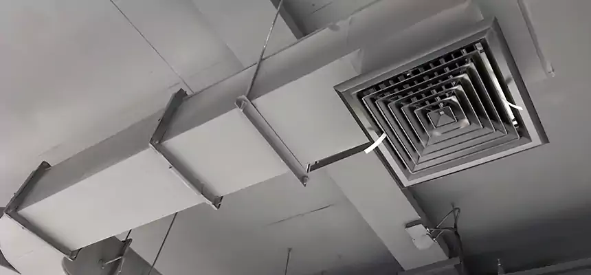 Restorative Allergy Relief Vent Cleaning – Coil, Blower & Housing Detail in Laguna Hills