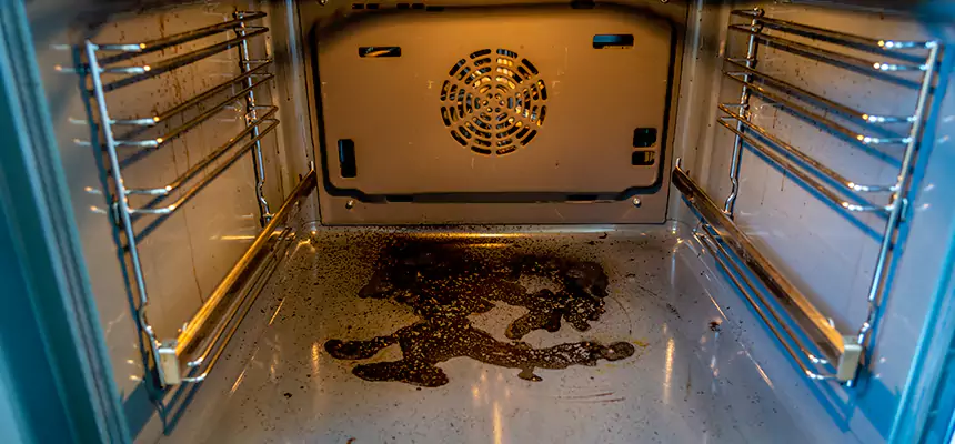 Our Dryer Vent Mold Cleaning Services in Laguna Hills, CA