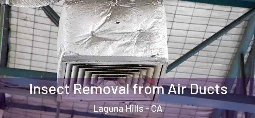  Insect Removal from Air Ducts Laguna Hills - CA