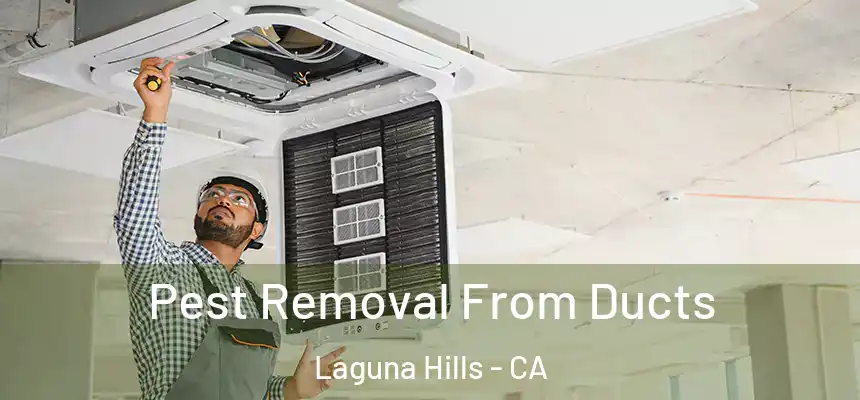 Pest Removal From Ducts Laguna Hills - CA
