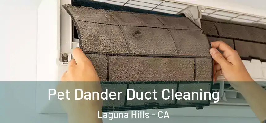  Pet Dander Duct Cleaning Laguna Hills - CA