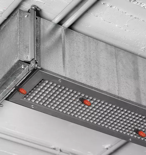 About Air Duct Cockroach Removal in Laguna Hills, CA