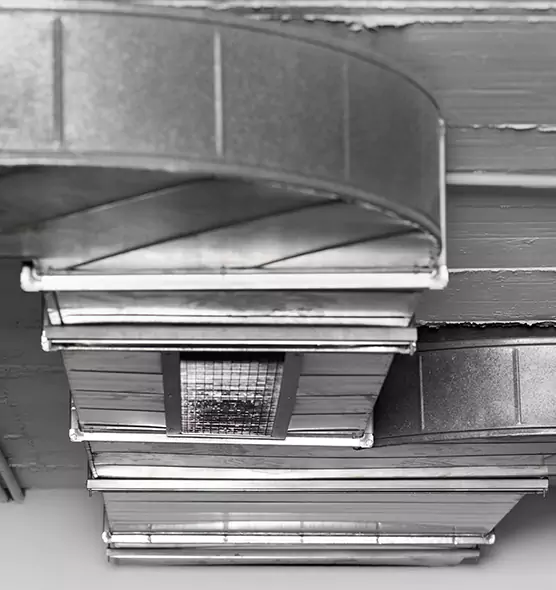 Professional Air Duct Pest Removal in Laguna Hills, CA