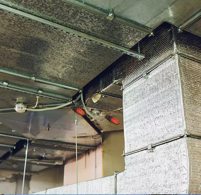 Why Homeowners & Businesses Trust Us in Laguna Hills, CA?