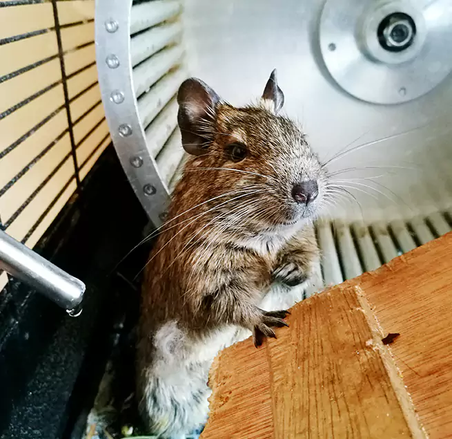 Why Homeowners & Businesses Trust Us Laguna Hills, CA?