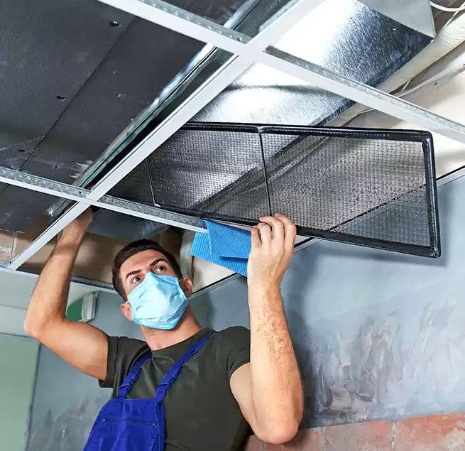 Why Homeowners Businesses Trust Us in Laguna Hills, CA